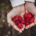 Homemade Raspberry Face Mask Recipes for Youthful Skin
